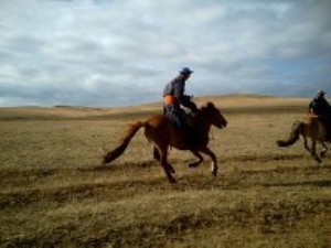 Naadam horse racing